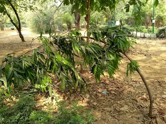 Maharaja Agrasen Park - 5
