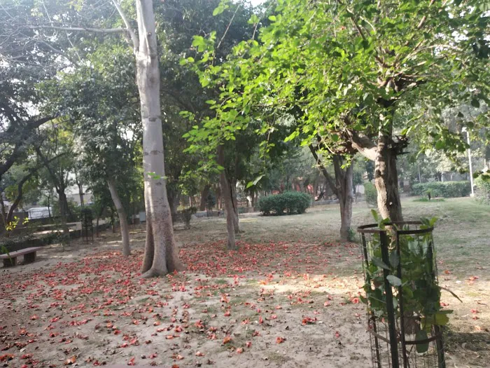 Garden - 2