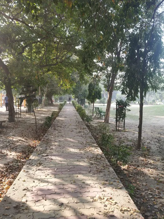 Garden - 4