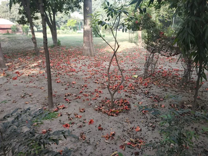 Garden - 7
