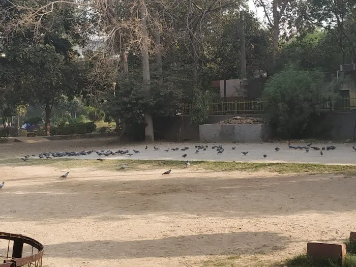 Garden - 8