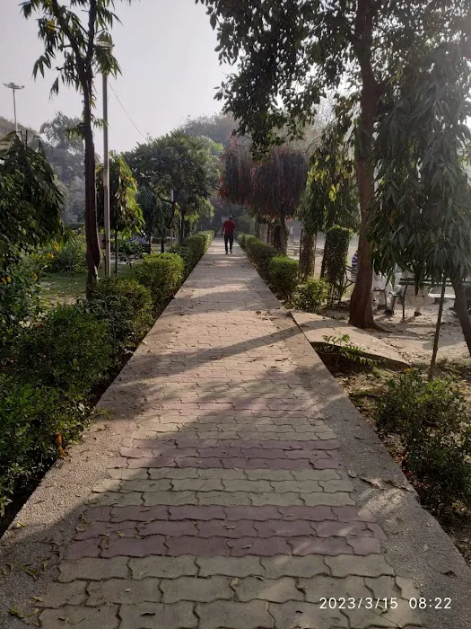 Garden - 6