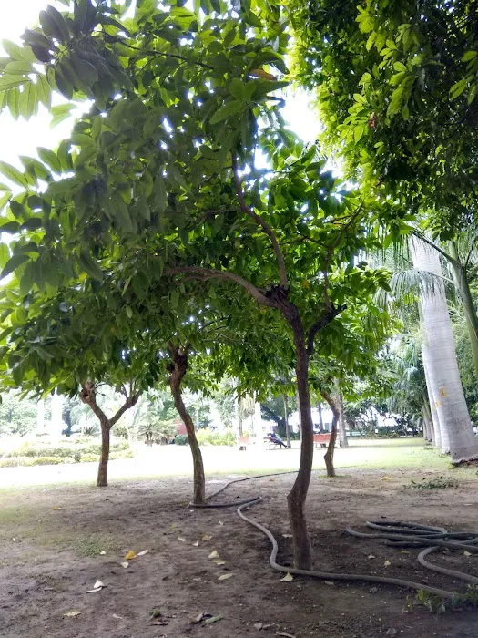 Veer Savarkar Park - 8