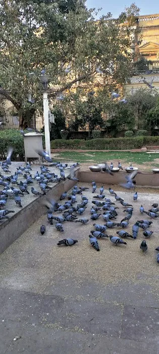 Chandu Garden - 2