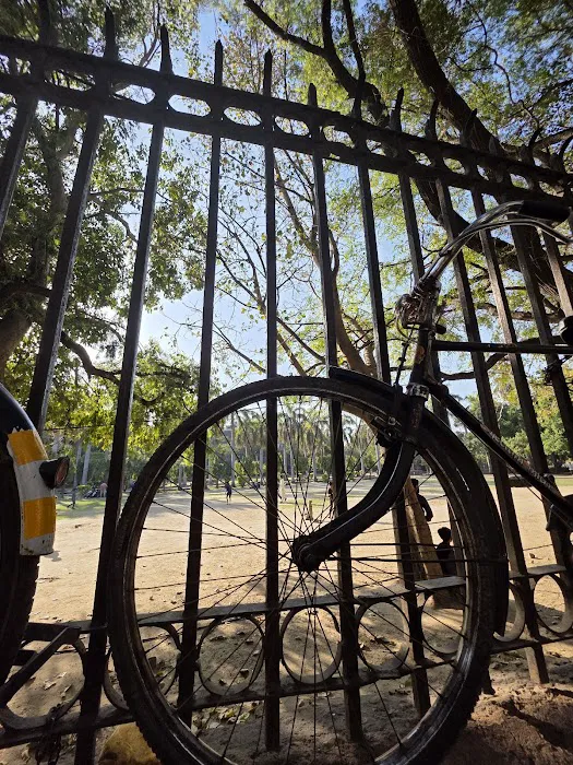 Mahatma Gandhi Park - 5
