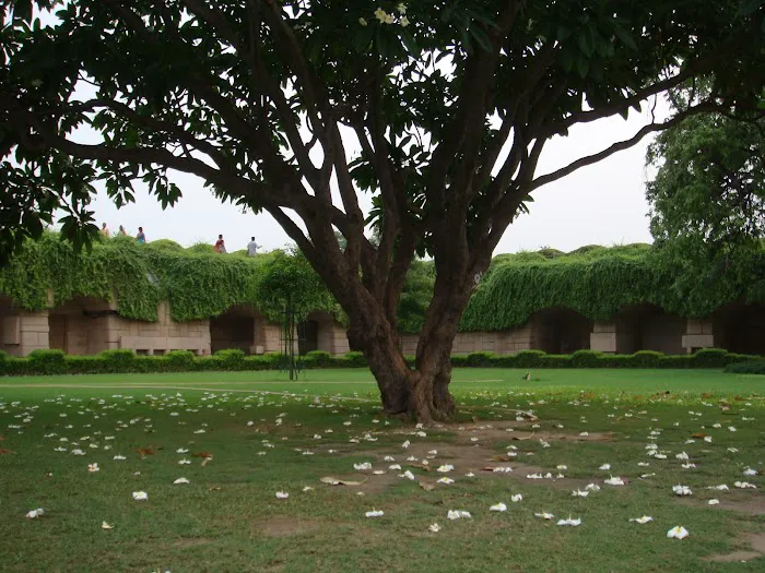 Azad Park - 5