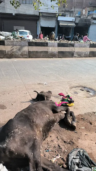 North Delhi Nagar Nigam Park - 6
