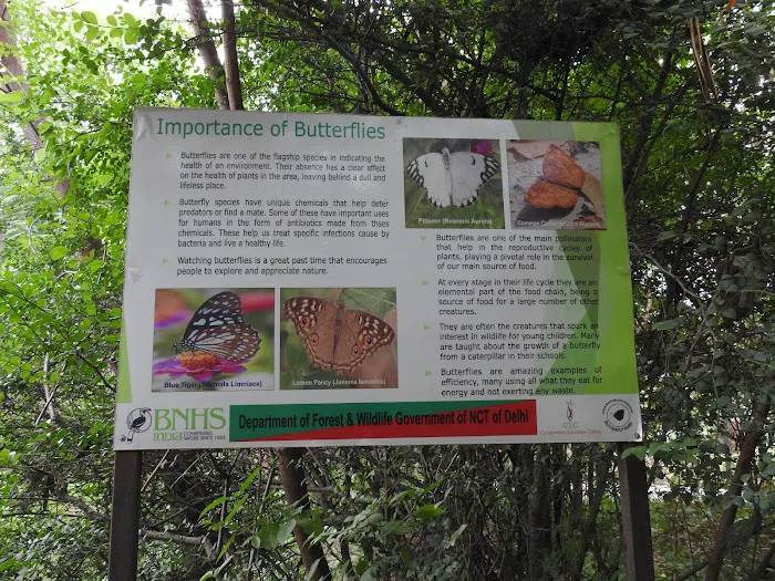 DDA Park Delhi - 0