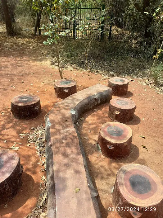 DDA Park Delhi - 5