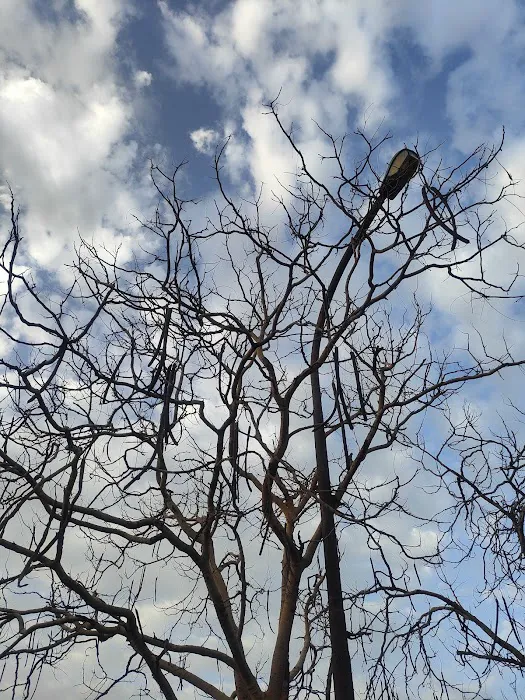 Raman Lamba Park - 2