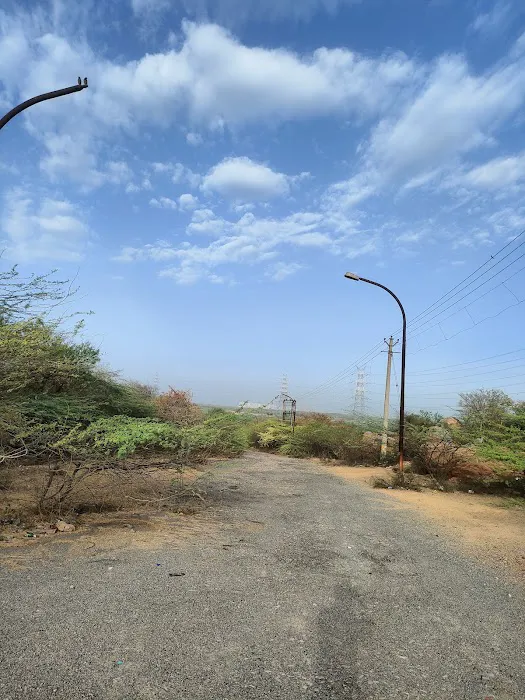 Raman Lamba Park - 4