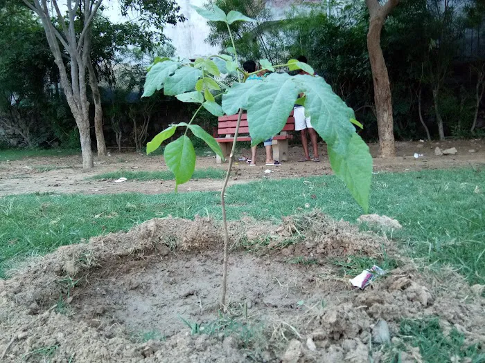 Yogmaya Park - 6