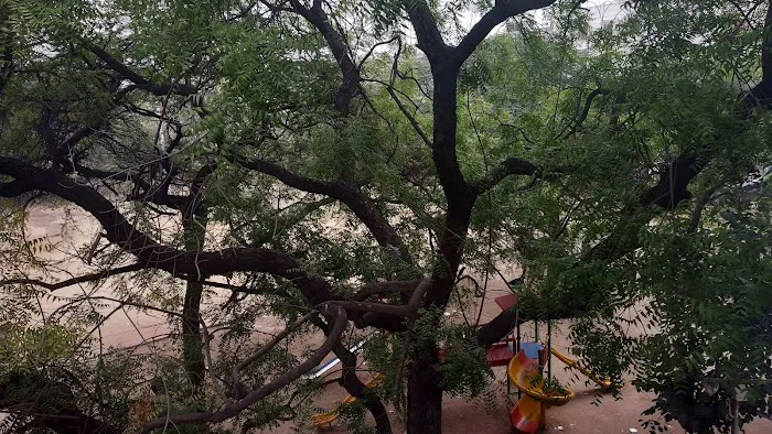 Bhim Rao Ambedkar Central Park - 1
