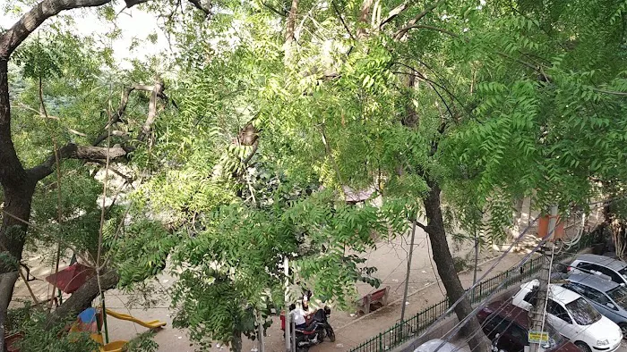 Bhim Rao Ambedkar Central Park - 5