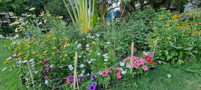 Bhim Rao Ambedkar Central Park - 4