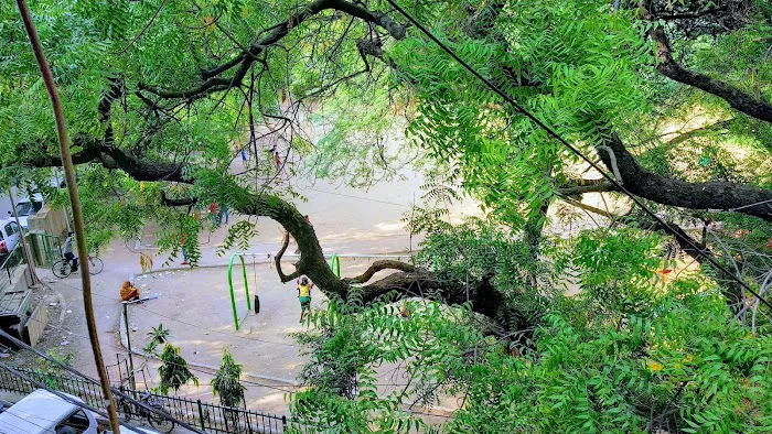 Bhim Rao Ambedkar Central Park - 7
