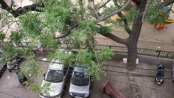 Bhim Rao Ambedkar Central Park - 8
