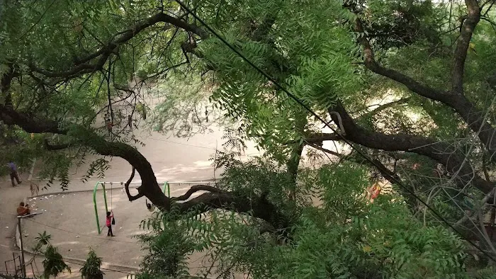 Bhim Rao Ambedkar Central Park - 9