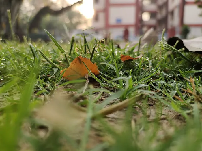 Small Park - 6