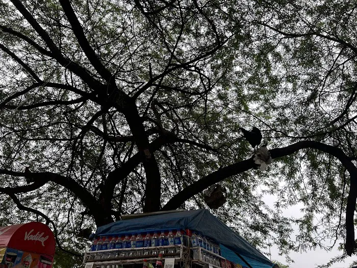 DDA Park, Pocket 52, C R Park - 0