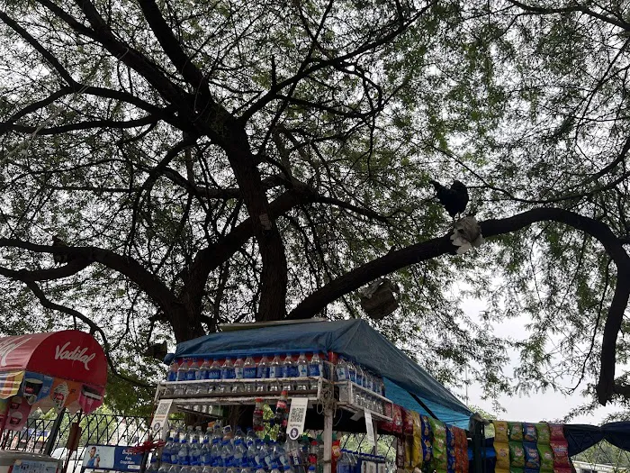 DDA Park, Pocket 52, C R Park - 5