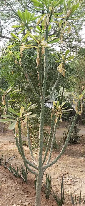 Un-named Park - 2