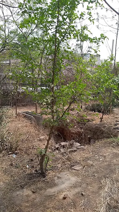 Un-named Park - 8