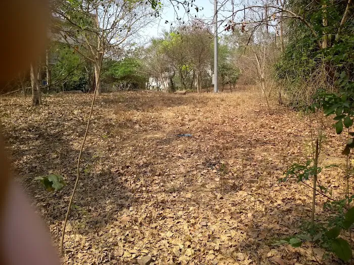Pahari Wala Park (Rocky Park) - 0