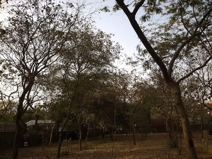 Pahari Wala Park (Rocky Park) - 3