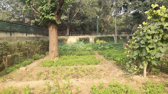 Neighbourhood DDA Park - 0