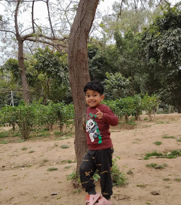Neighbourhood DDA Park - 7