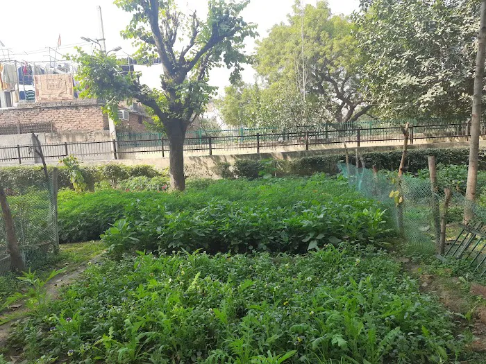 NHP at Naraina Vihar - 0