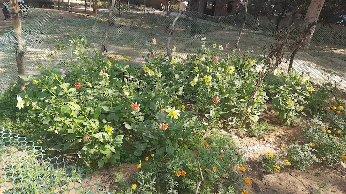 NHP at Naraina Vihar - 4