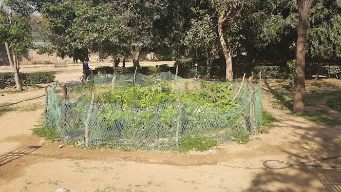 NHP at Naraina Vihar - 8