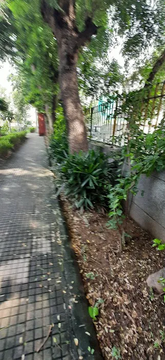 C-block park - 6