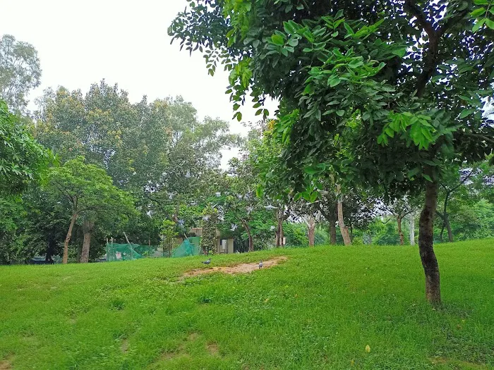 Naraina PARK RC-3 & DLA - 0