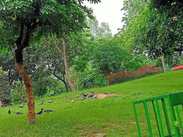 Naraina PARK RC-3 & DLA - 7