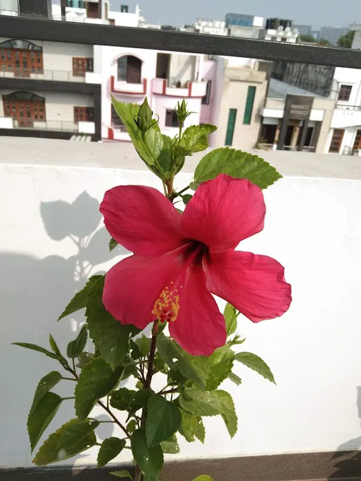 Shyam Enclave Park - 7