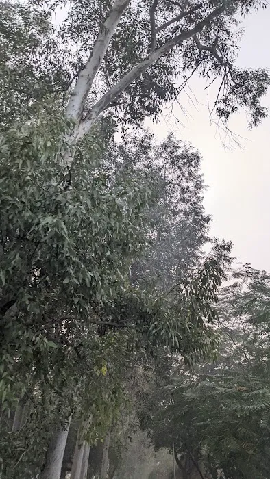 MADHAV VATIKA PARK - 6