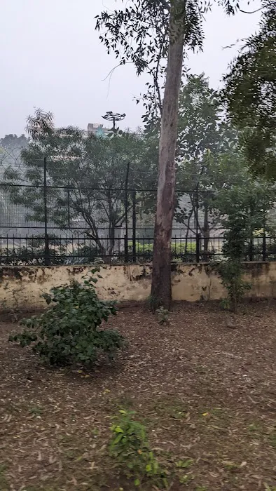 Saini Enclave Park - 4