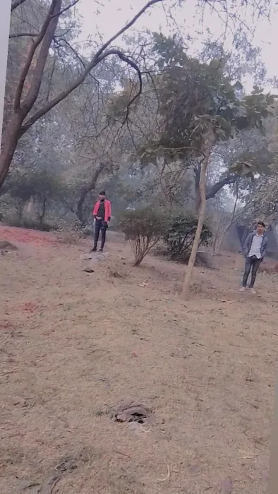 Picnic Park - 1