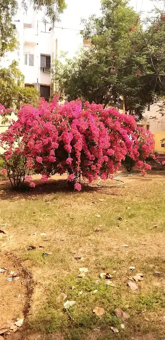 Vasant Kunj Sec A, Children Park - 3