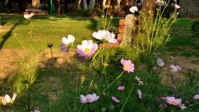 Vasant Kunj Sec A, Children Park - 4