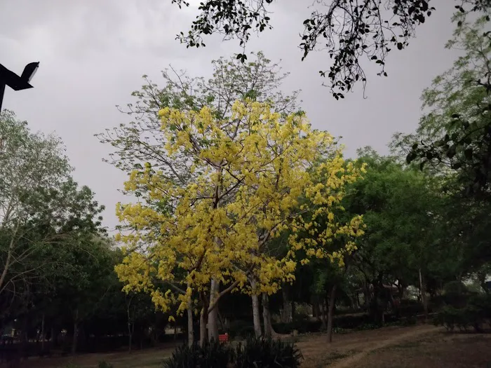Vasant Kunj Sec A, Children Park - 9