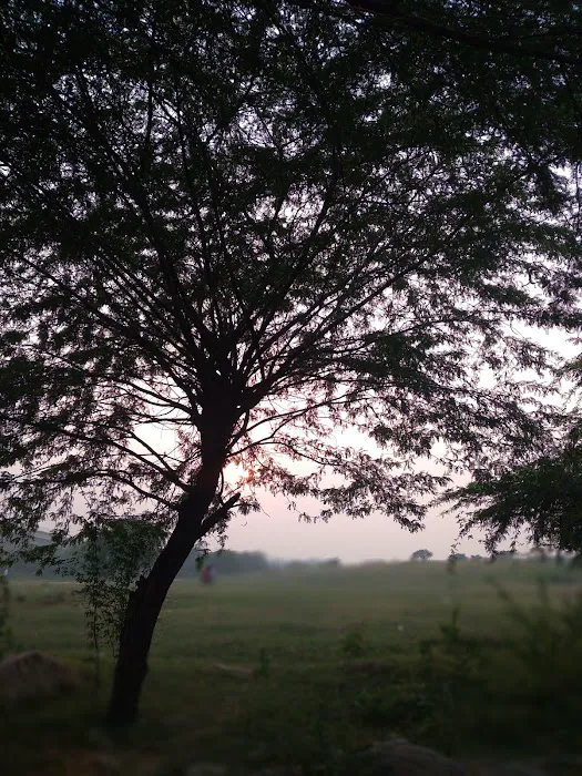 Harkesh Nagar - 3
