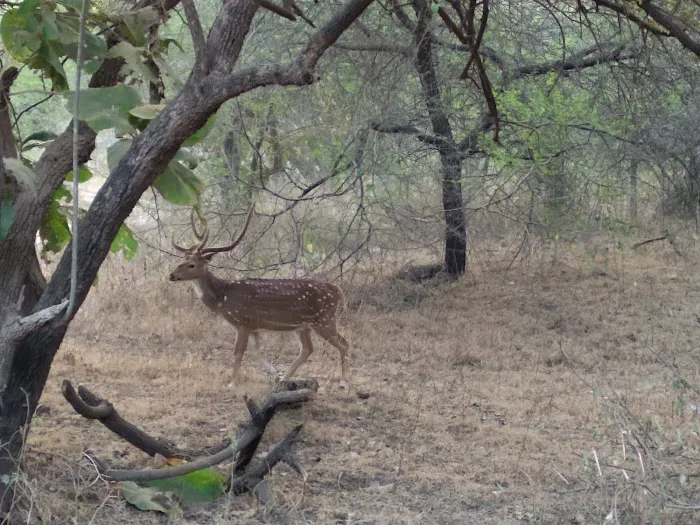 Harkesh Nagar - 2