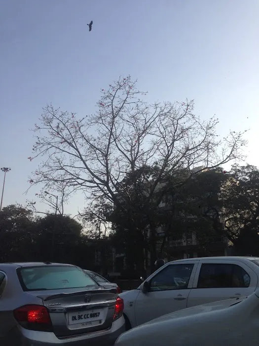 Rajesh Pilot Park - 9