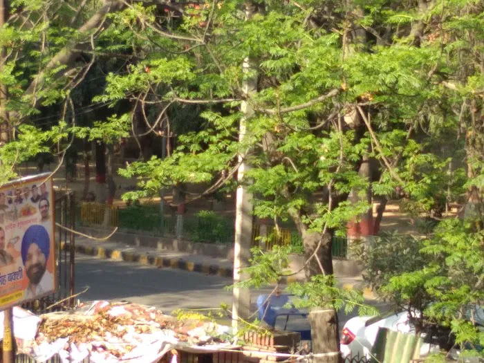 Shiv Vatika - 0