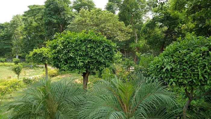 Kilekari Phushpam Vitak Park - 3