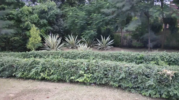 Kilekari Phushpam Vitak Park - 8